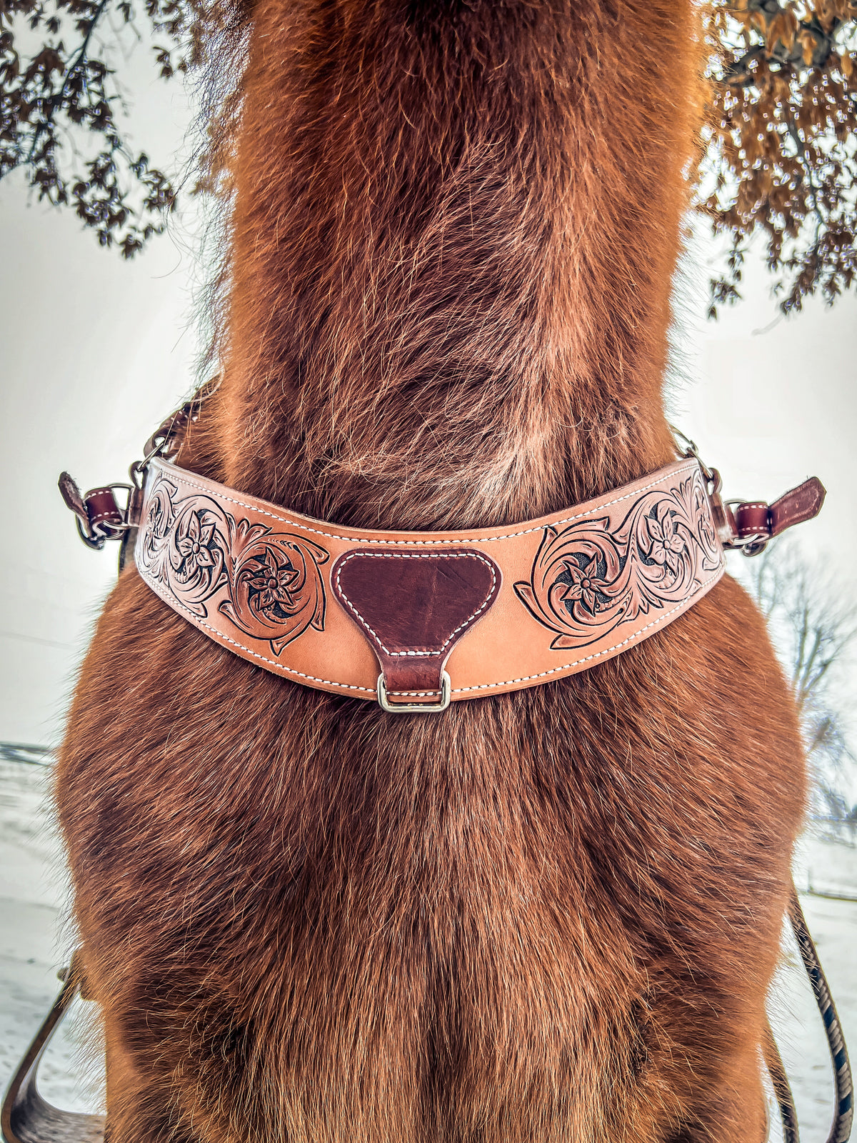 Handmade Leather Breast Collar